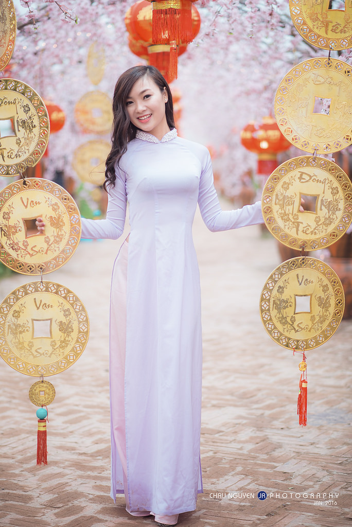 哈利波特与凤凰社在线观看